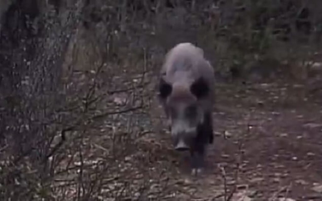 agriogourouna dromos