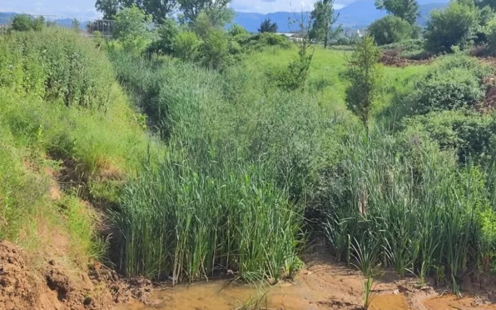 apostraggistikes tafroi