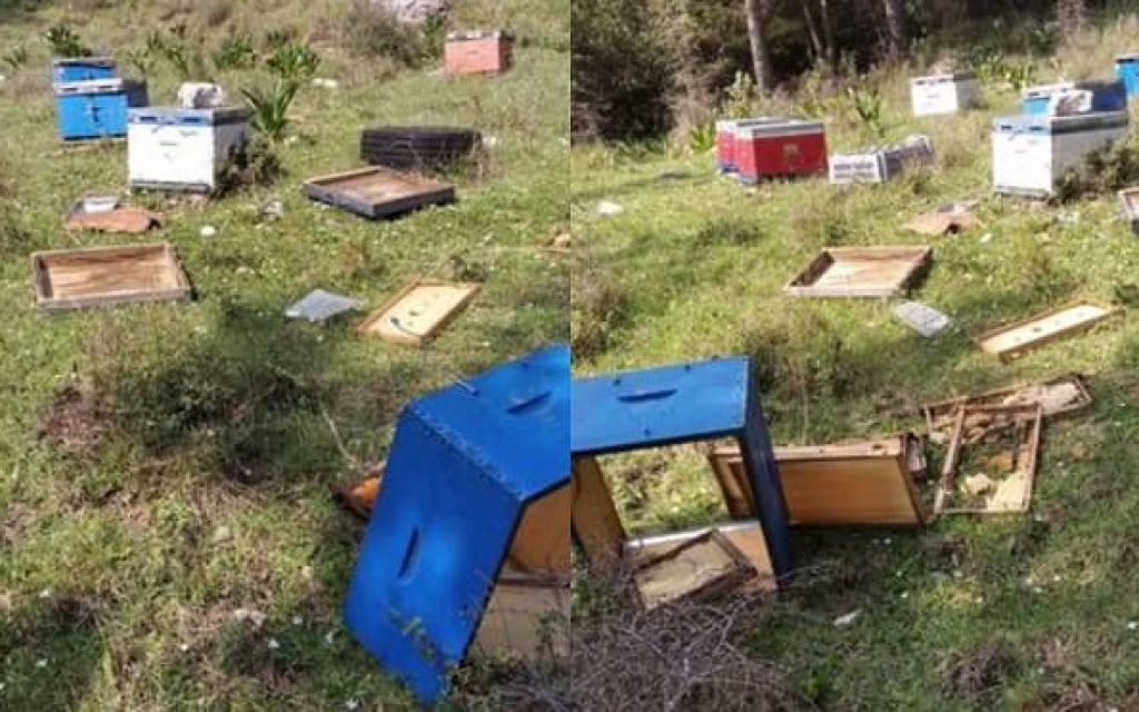 arkouda zimies kipseles