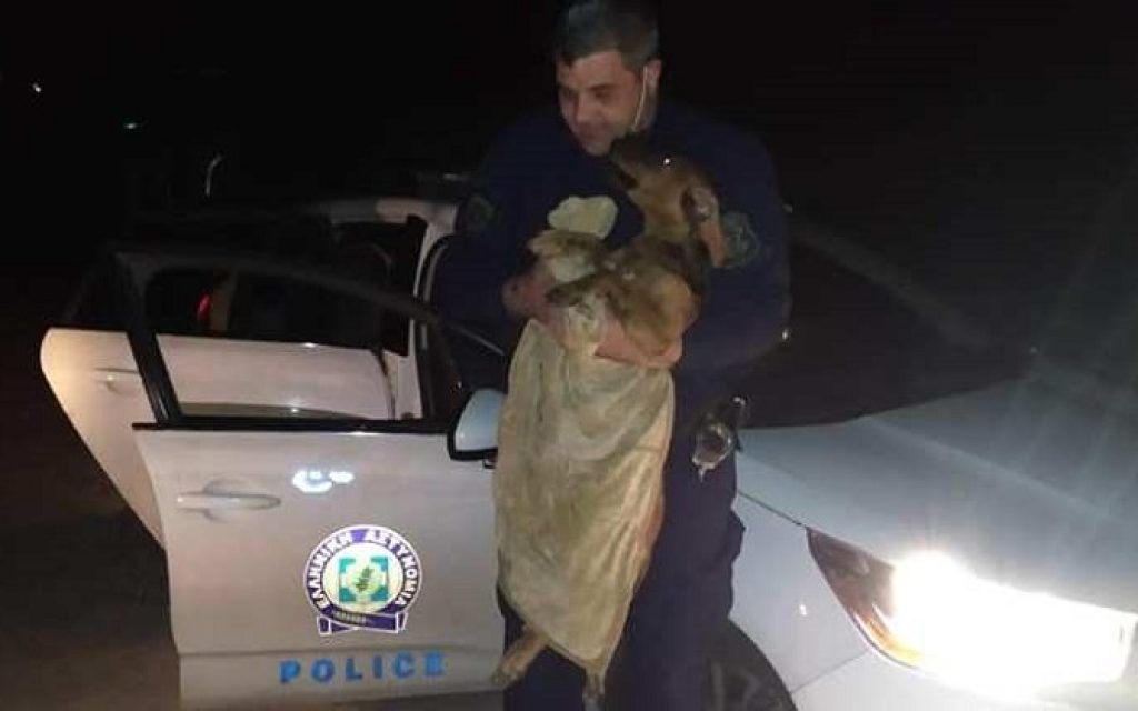 astinomikos adespoto