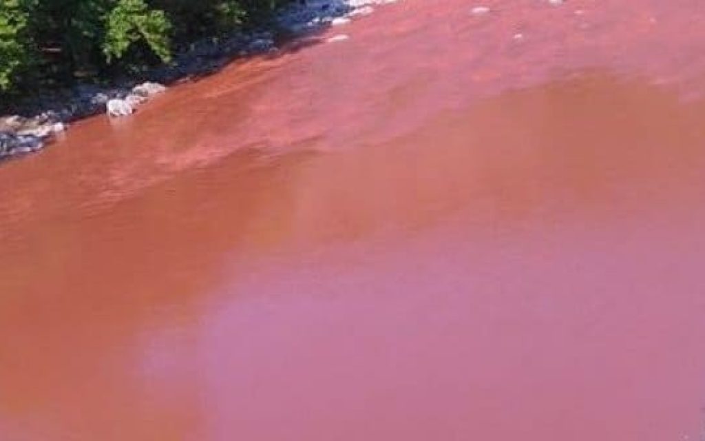 axeloos kokkina nera