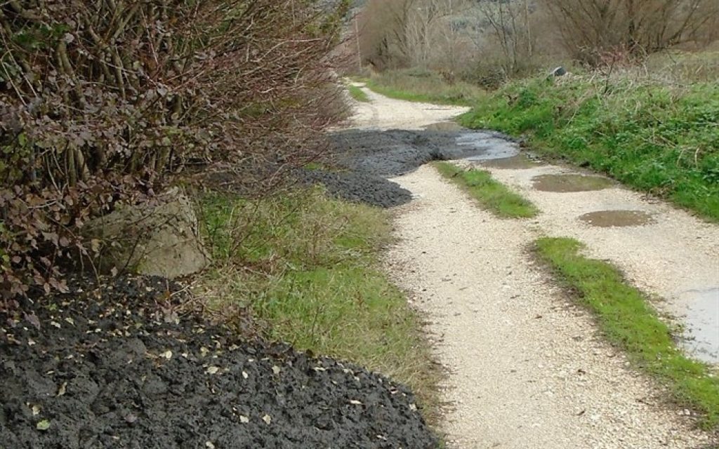 biologikos limatolaspi4