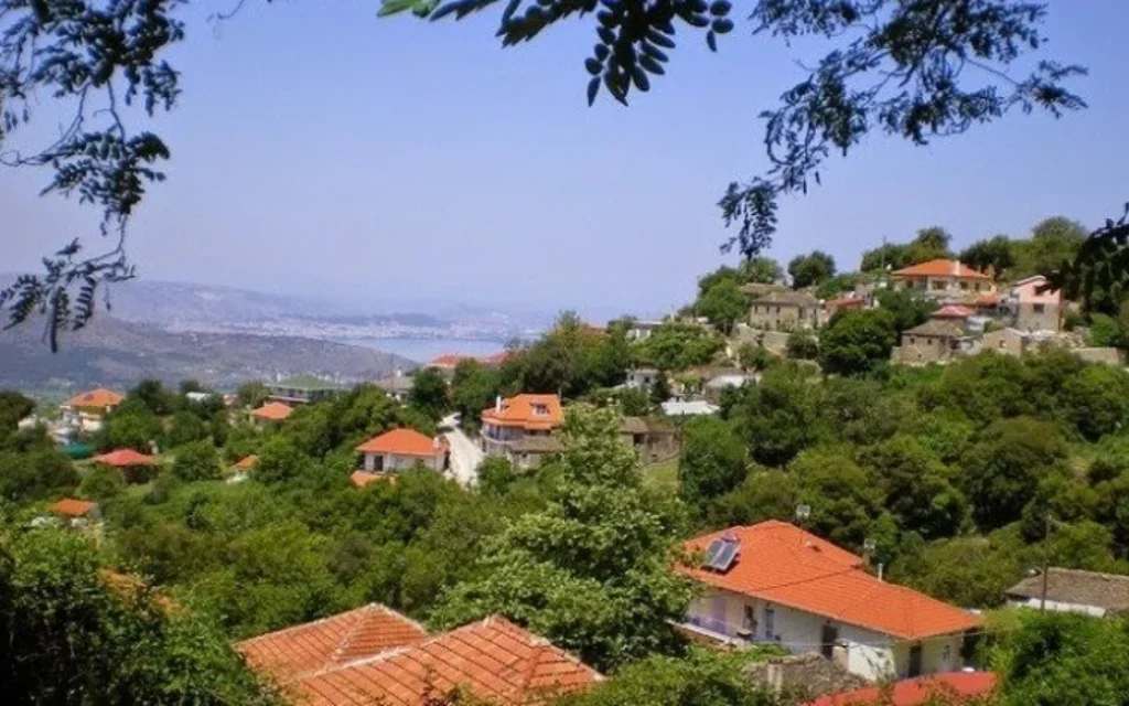 dafnoula