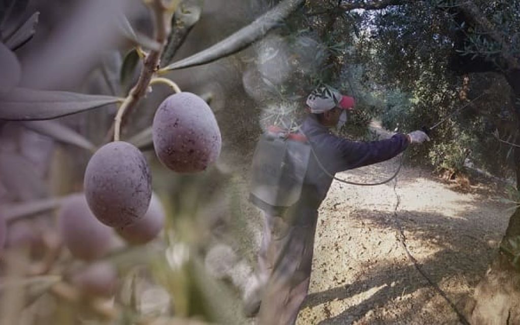 dakoktonia psekasmoi