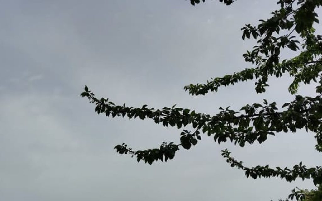 dentro ouranos skoni