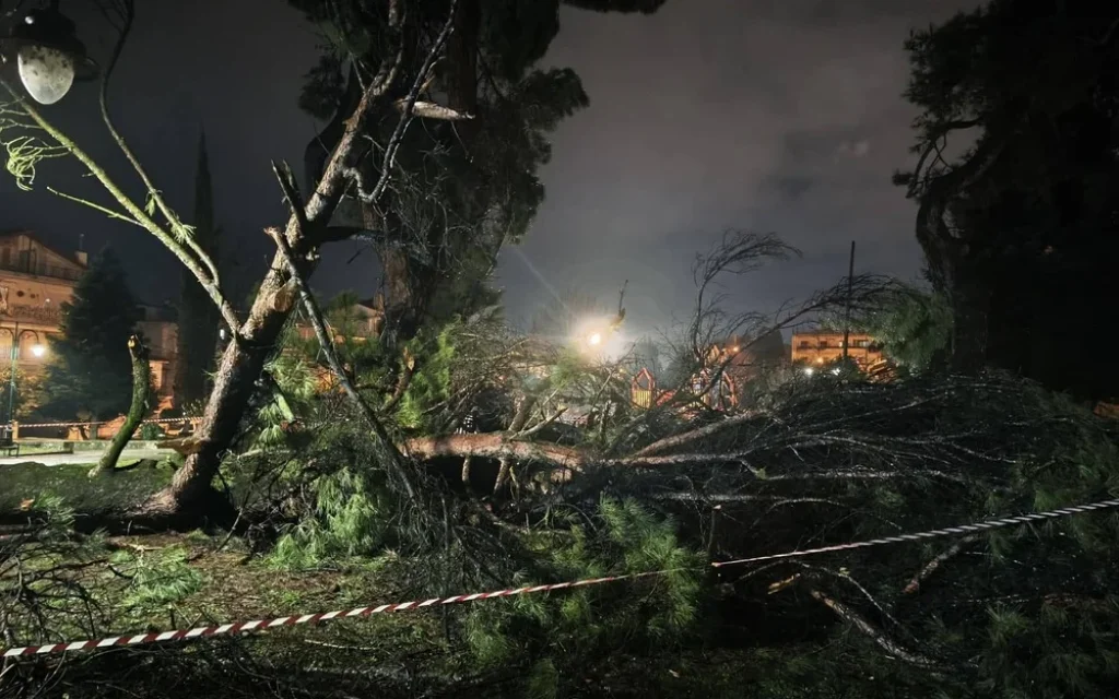 dentro parko girokomeio