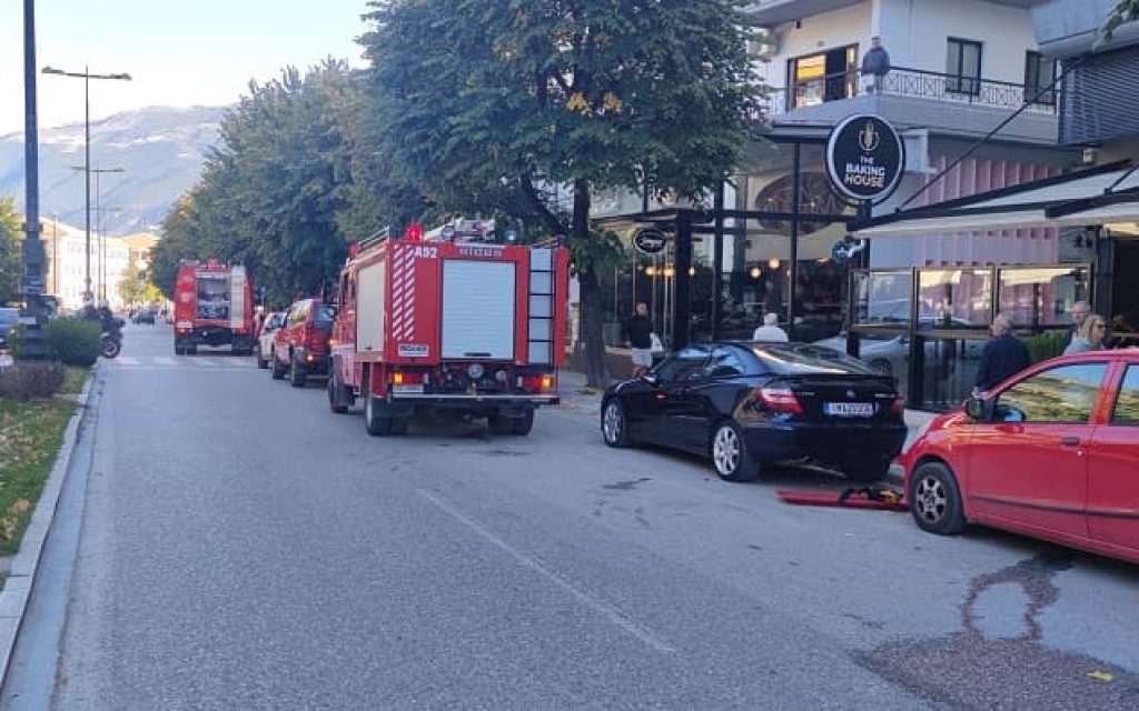 dodonis pirosvestika