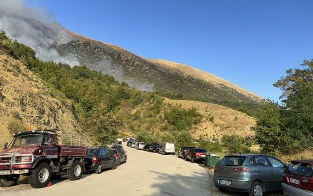 drimades pogoni fotia1