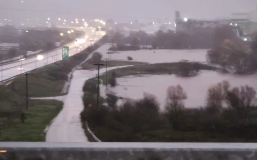 egnatia pedini plimmira