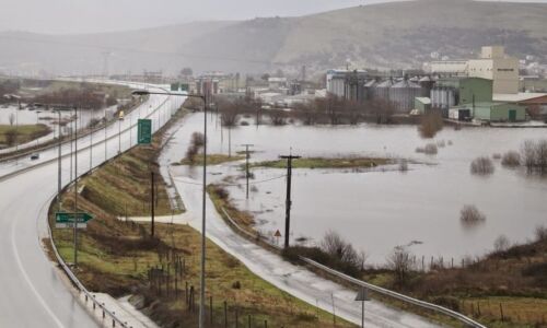 egnatia plimmira