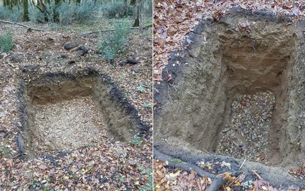 ekskafes Plaisia