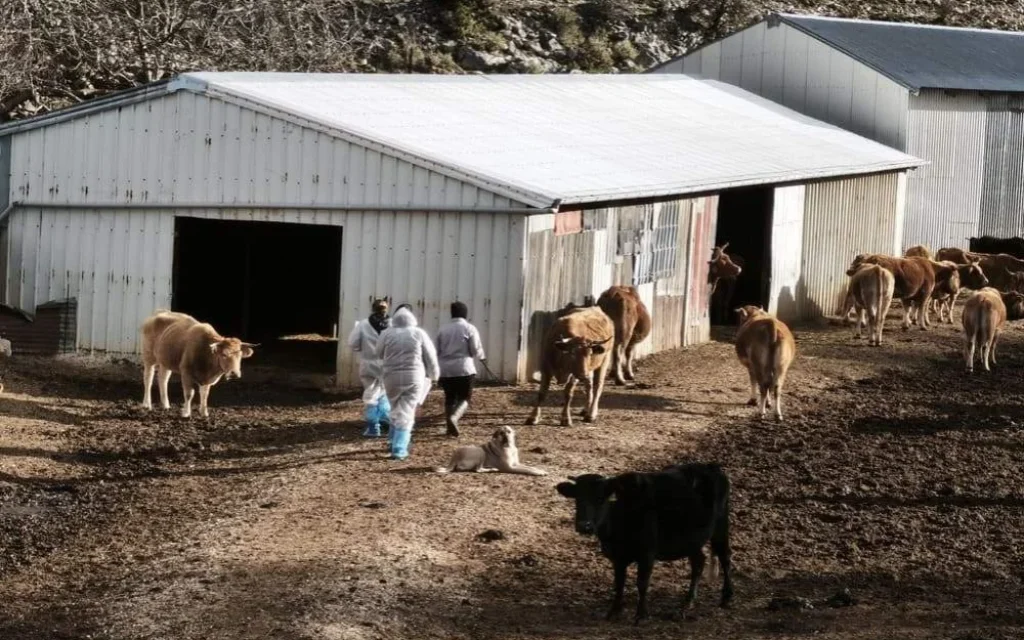 elegxoi opekepe ligkiades