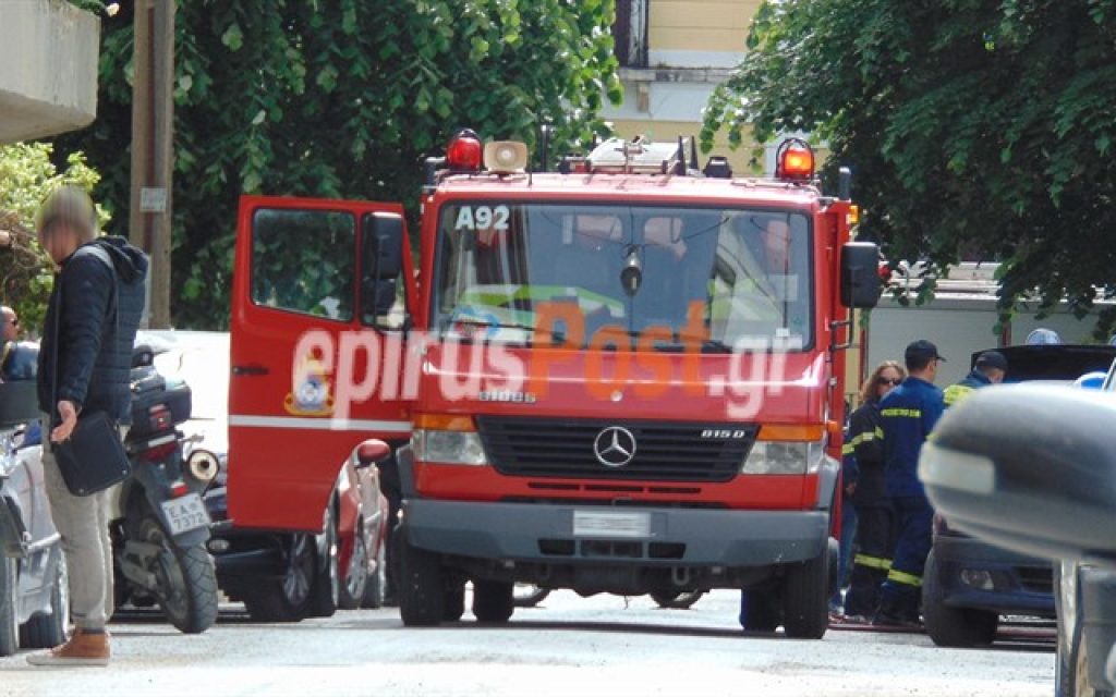 elz fotia1