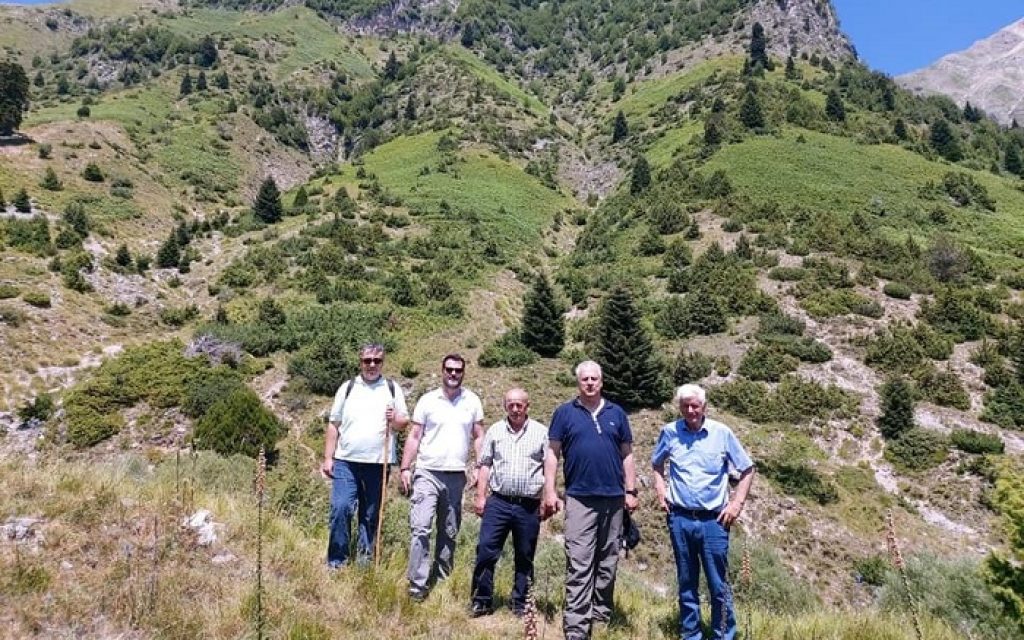 emp tzoumerka