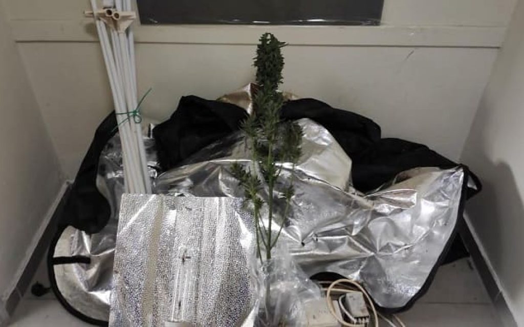 esoteriki kaliergeia