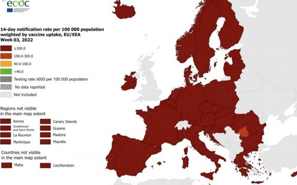 europi kokkino vati