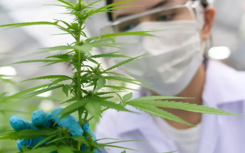 farmakeutiki kanavi (1)