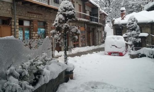 fevr-xioni-metsovo