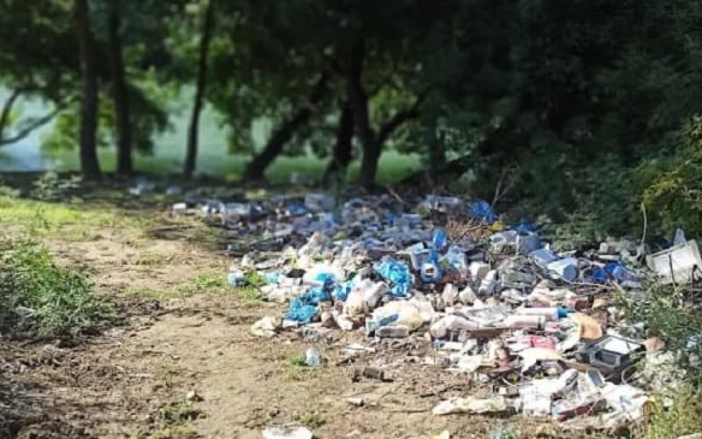 fitofarmaka skoupidia