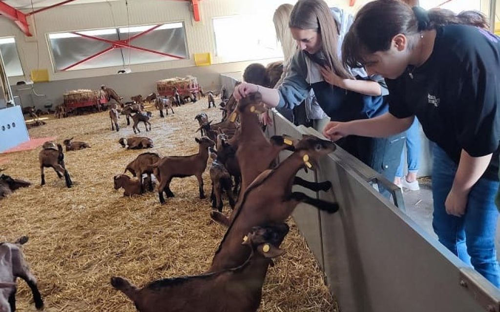 foitites farma
