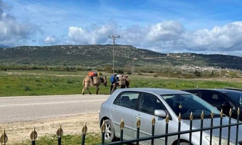 gaidourakia touristes