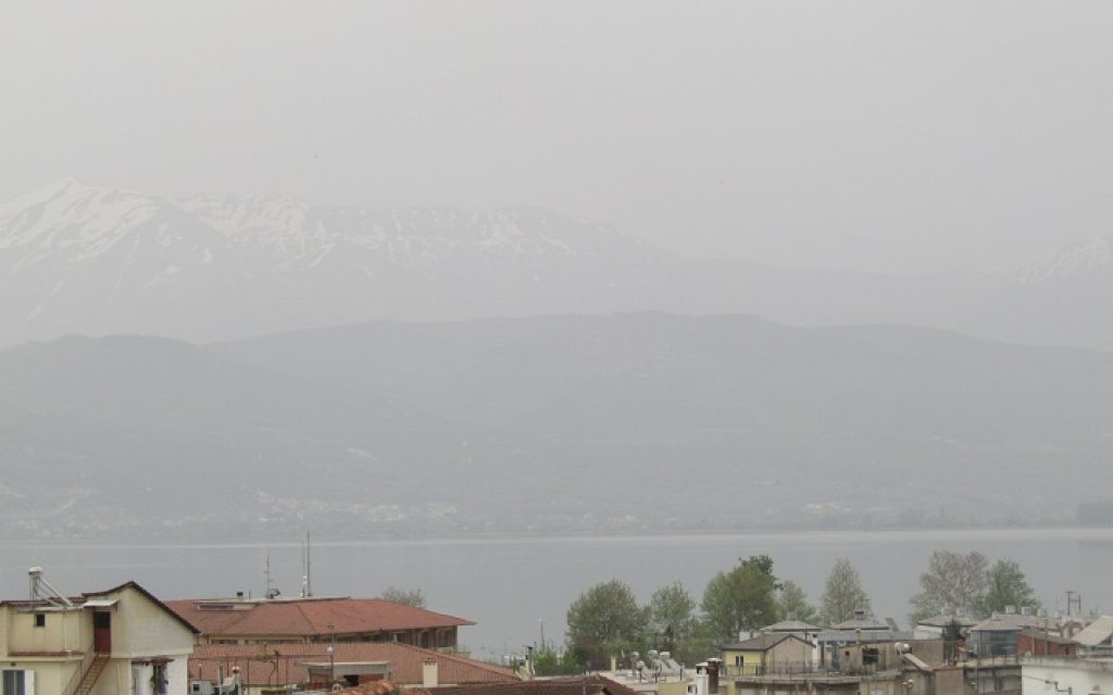 giiannena afrikaniki skoni1