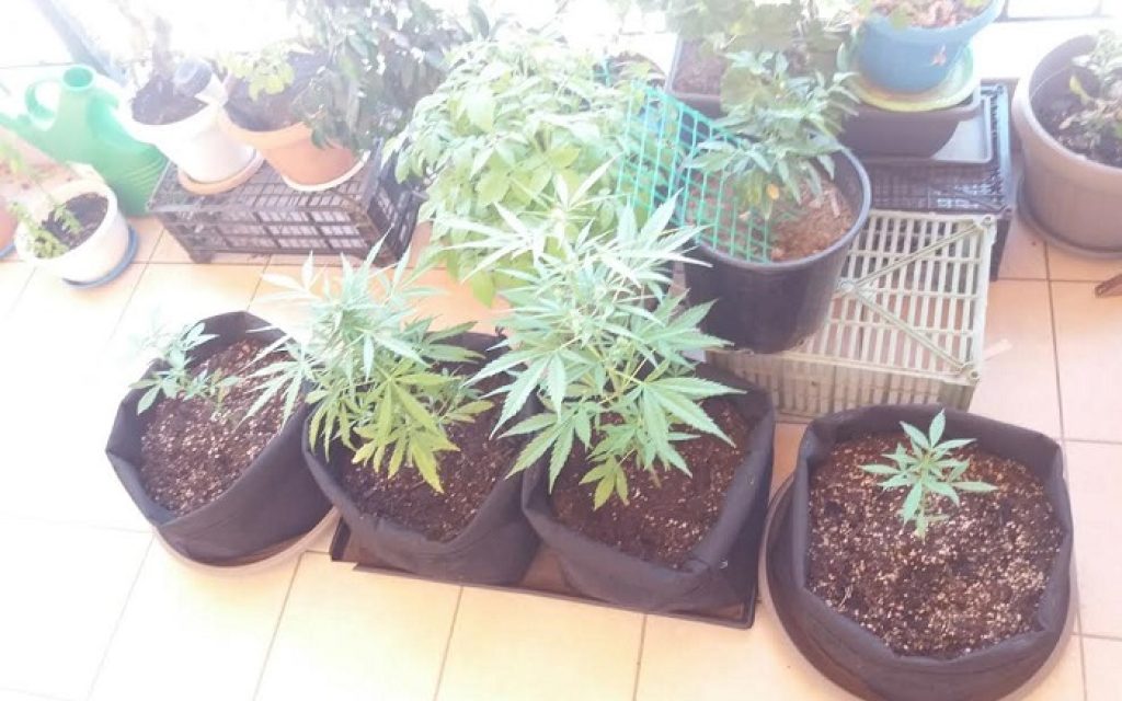 glastres