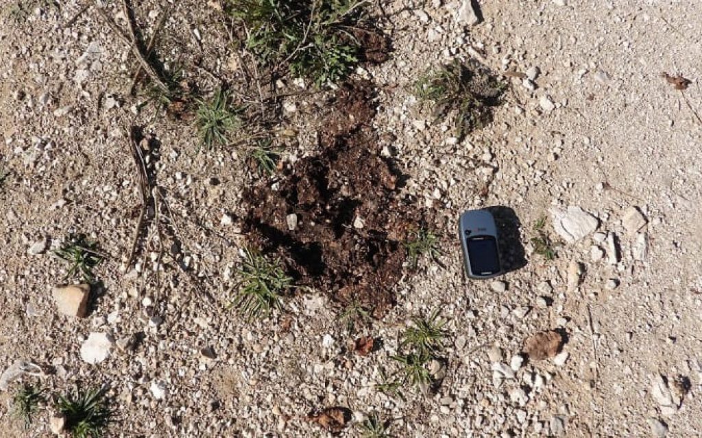 ixni arkoudas lapsista