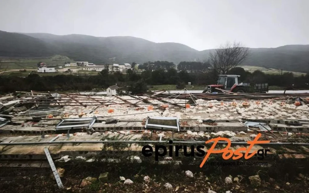 kalpaki ptinotrofeio