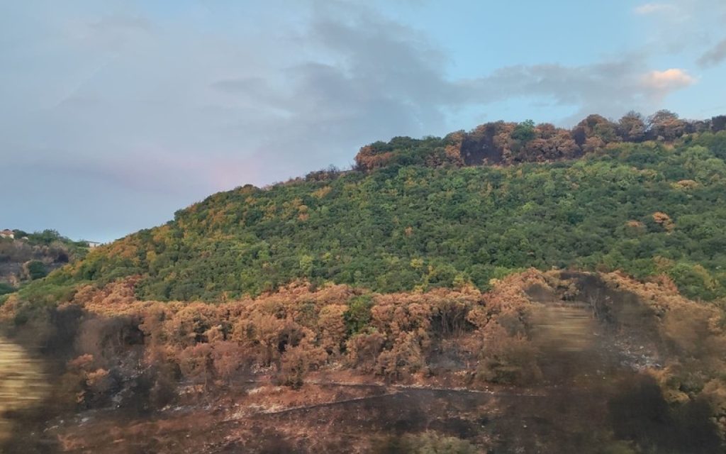 kamena