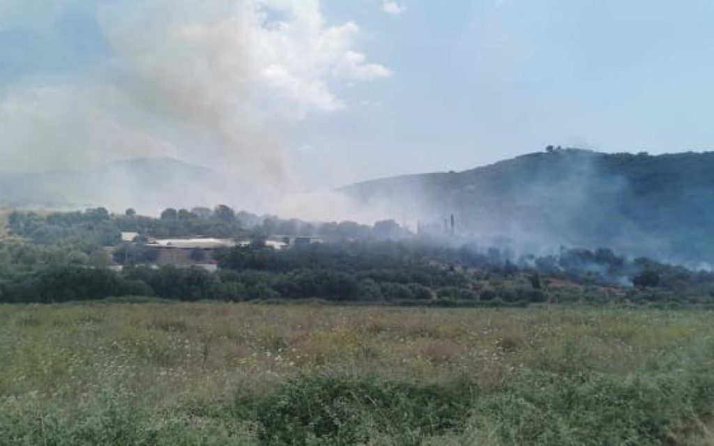 kanalaki fotia
