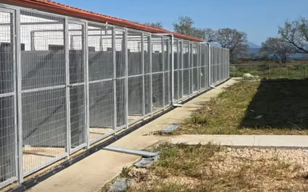 katafigio neoxori ()