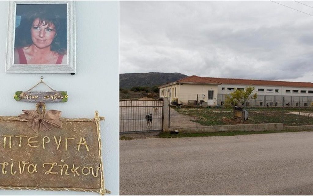 katafigio ntina zikou