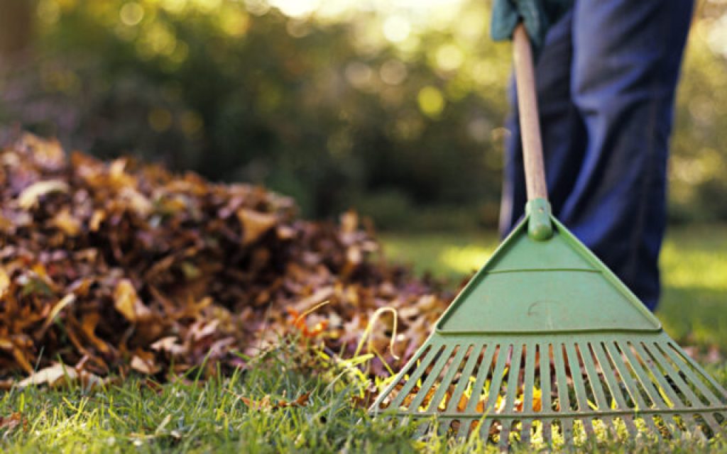 katarismos oikopedon