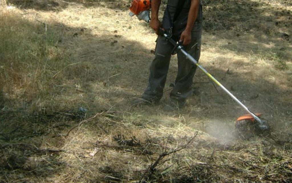 katarismos oikopedon