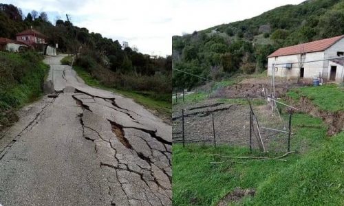 katizisi ardosi