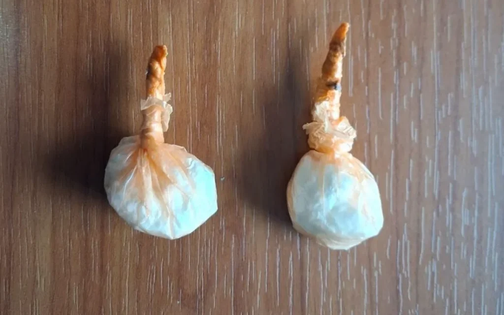 kokaini