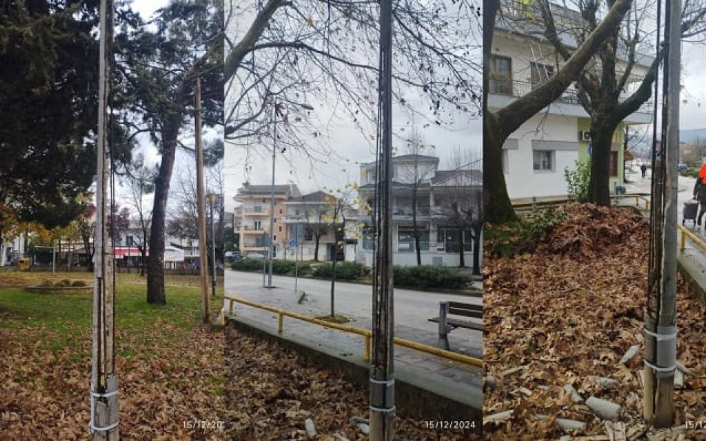 kolones seismoplikta