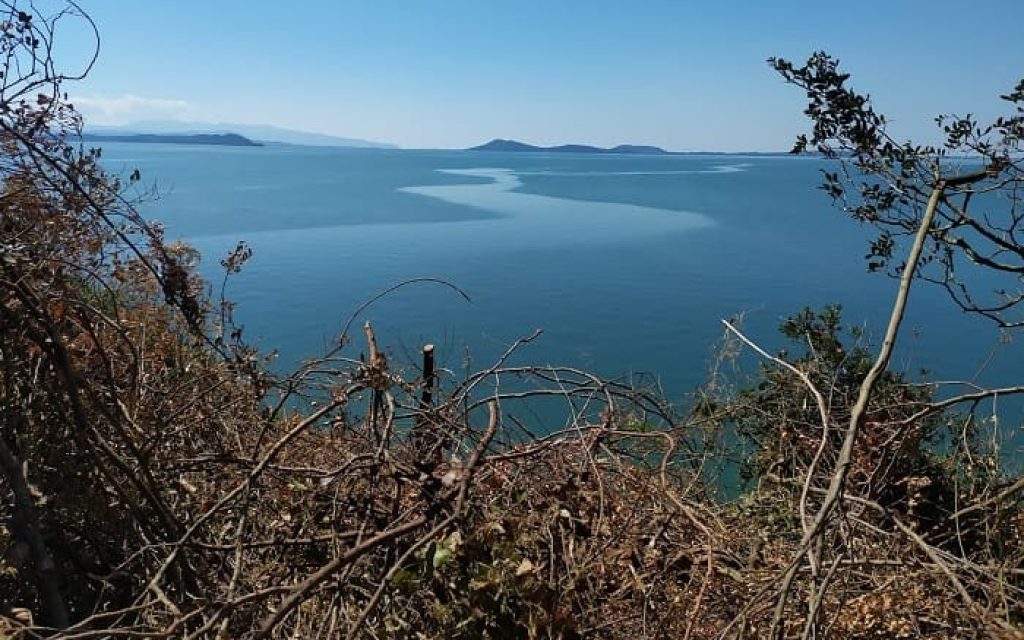 koronisia monopati