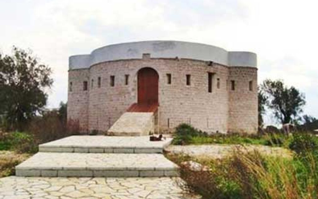koulia koronisia