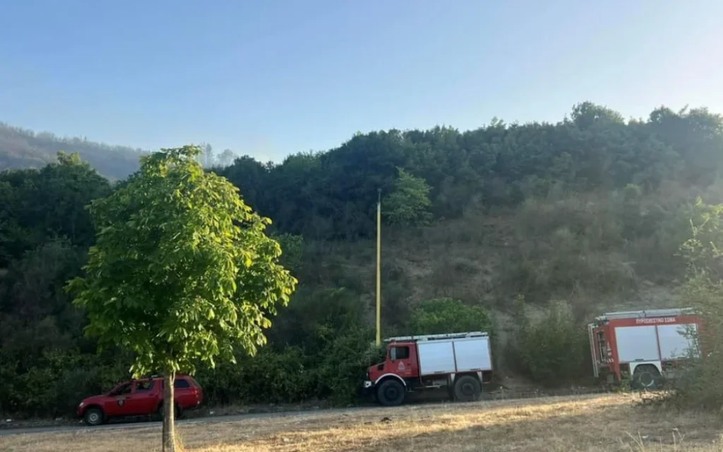 ktismata pirosvestika ()