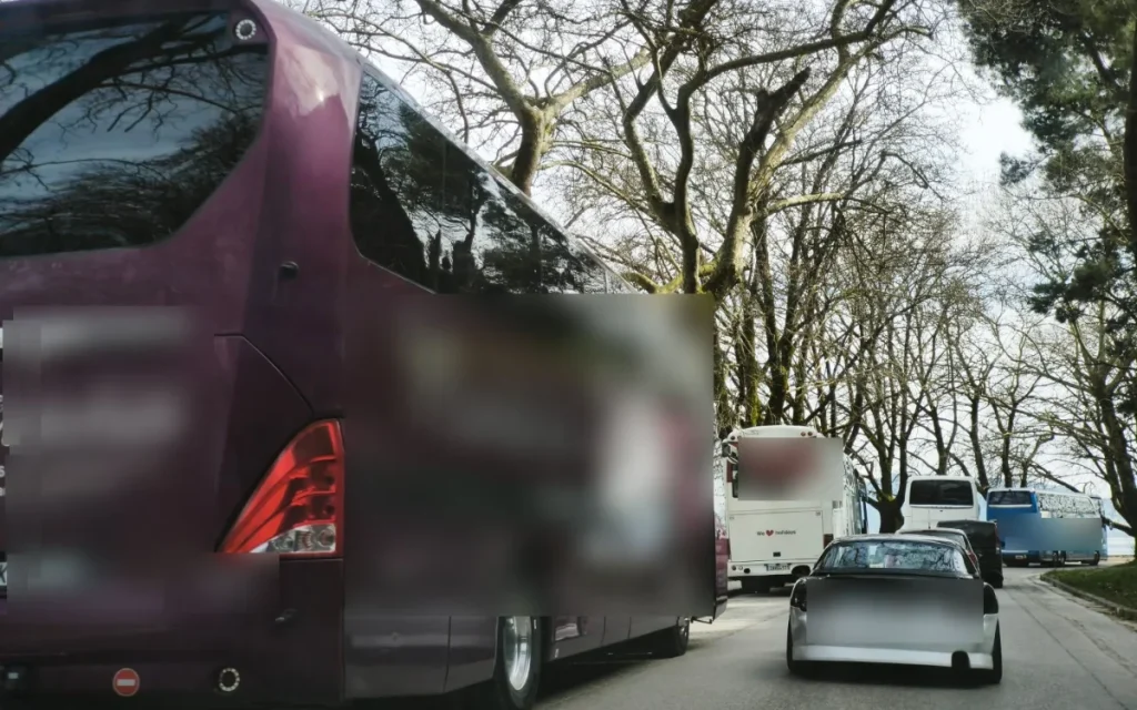 leoforeia paralimnios