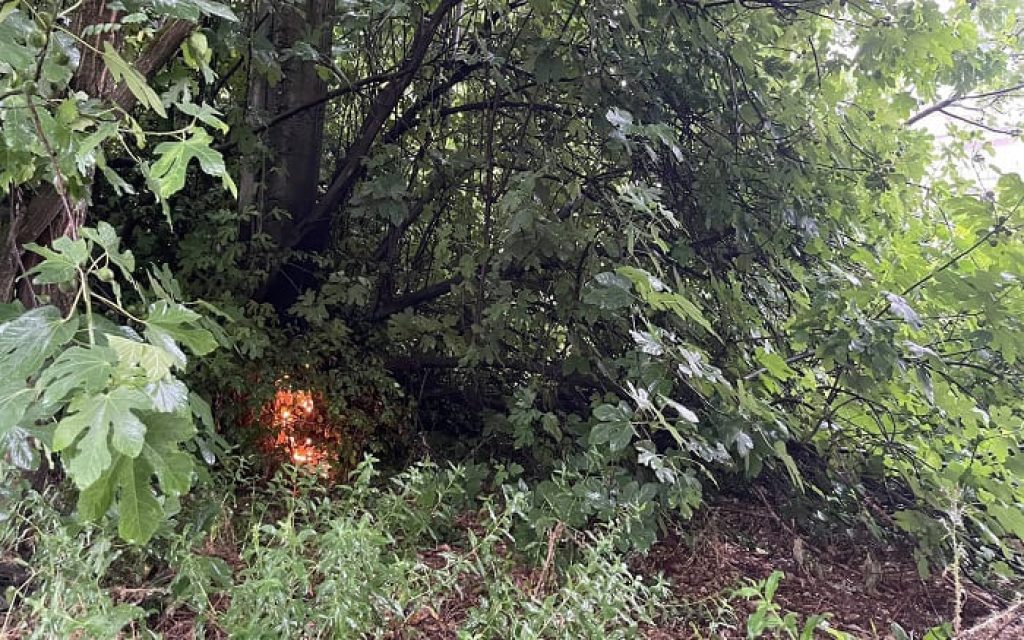 limnopoula vraxikikloma