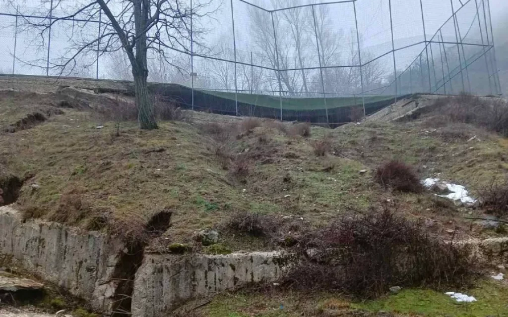 matsouki nees zimies