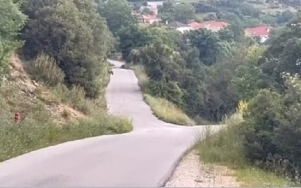 metamorfosi arkouda