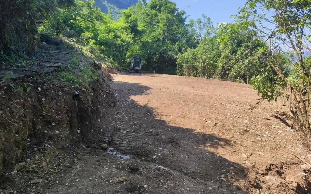 mikro papigko viologikos ()