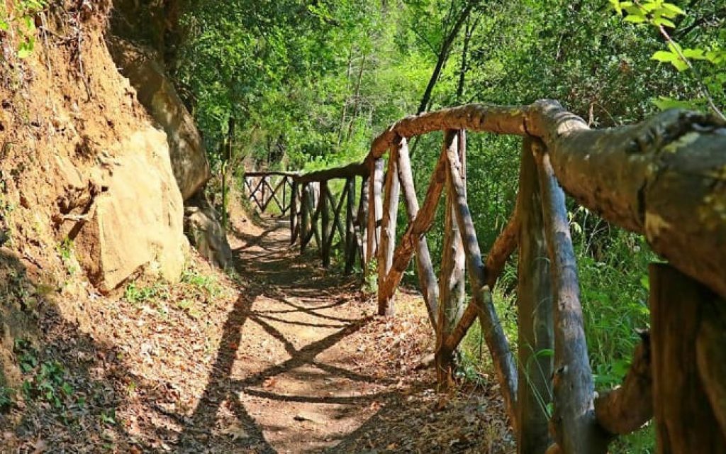 monopatia parga