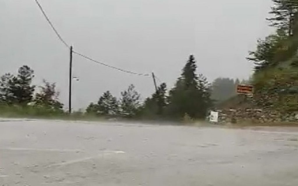 mpourini konitsa