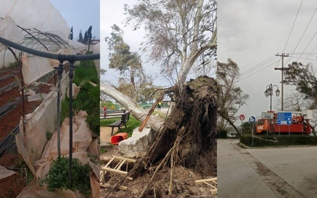 mpourini preveza zimies