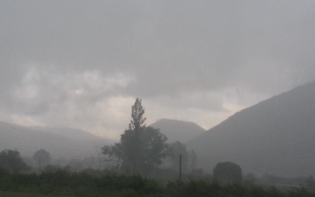 mpourini